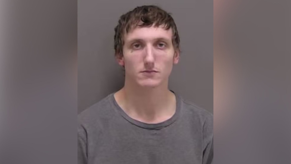 Domestic violence incident in Fargo leads to felony charges against a ...